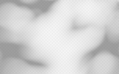 Poster - abstract soft blur shadow overlay from foliage tree branch on a transparent background.