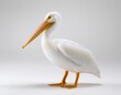 © MKS - In the Graceful Pelican Portrait, a pelican's elegant profile is on full display, with a pristine view drawing attention to its distinctive bill and poised serene confidence