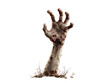 © Falconn Std - Bloody decaying zombie arm and hand with rotting flesh and open wounds reaching up from the dirt and grave.