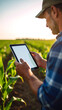 © chok - Agronomist using tablet in corn field during sunset, showcasing modern farming technology and agricultural practices