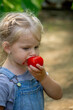 © Anna - Little girl eating a tomato in the greenhouse