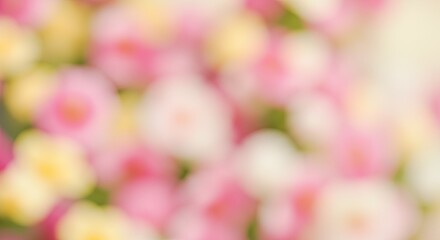 Wall Mural - Soft, Dreamy Floral Abstract: Pink, Yellow, and White Bokeh Blooms.