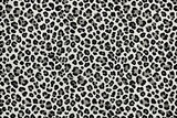 Seamless leopard pattern with black and gray spots on a white background