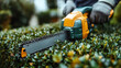 © we3_food - Close-up of a handheld hedge trimmer cutting a dense hedge