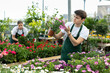 © JackF - Professional focused young male florist checking petals of Osteospermum Ecklonis flower during working day in greenhouse