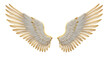 © Eli - Angel wings, detailed 3D illustration, isolated on white, spiritual and religious symbol.