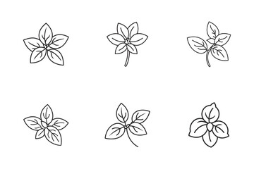 set of basil bunch icon vector line art illustration Isolated on White Background