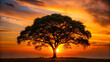 © Sanzida - A large tree stands alone at sunset with vibrant colors in the sky