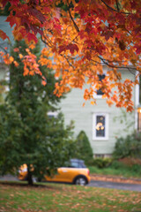 Wall Mural - Autumn tree leaves in the foreground. Street view in a small, quiet, New England town in the fall. 