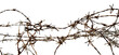 © berkahjayamaterial - messy rusty barbed wire isolated border