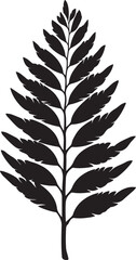 Black fern leaf branch isolated on white background vector illustration