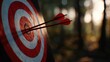 © Selvi - Close-up of a traditional archery with three arrows embedded in the bullseye in a forest setting during daytime