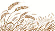 © MST SAHIDA  BEGUM  - Vector art of a vector illustration of a wheat field with ears of grain