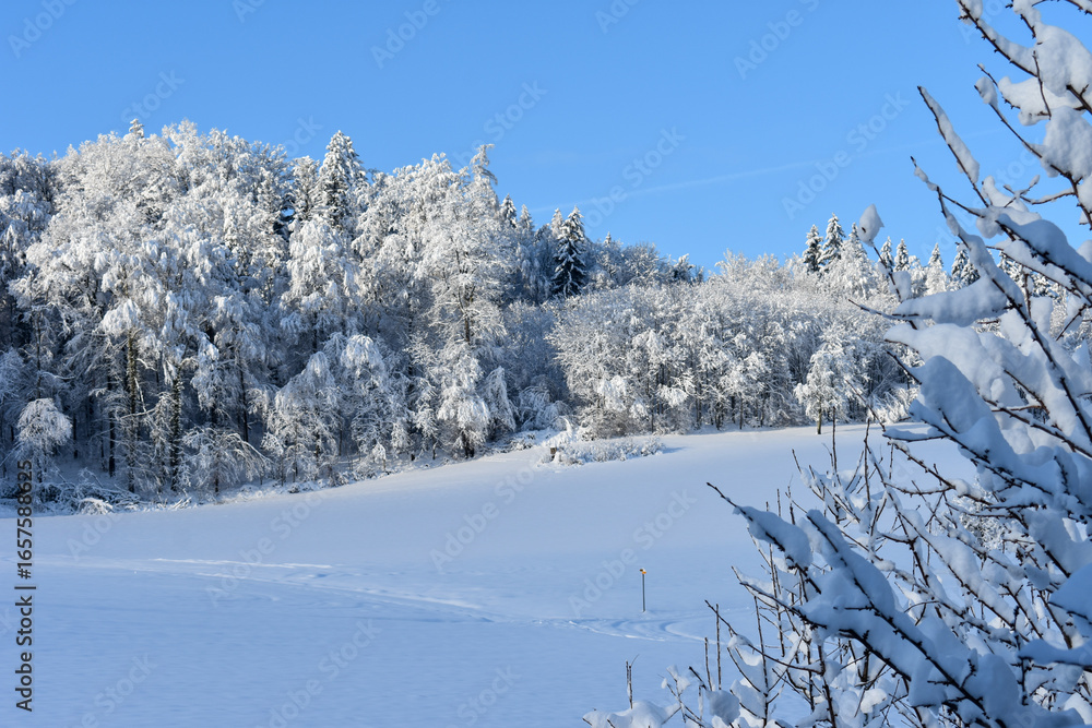 Ein Wanderweg liegt unter einer dicken Schneedecke im Kanton Aargau vor einem winterlichen Wald