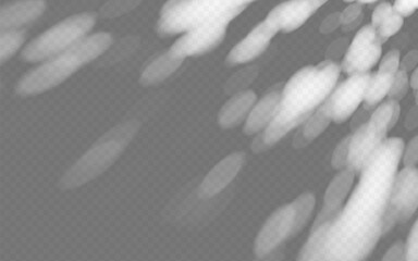 Poster - abstract shadow overlay dappled light on a transparent background.