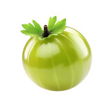 A fresh green Gooseberry fruit
