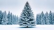 © mas - A snow-covered evergreen tree stands tall in a snowy field, surrounded by a forest