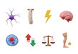 © MdKorban - 3d collection of medical and science icons isolated on transparent background featuring brain neuron spine energy scale and leg