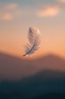 © baby - A single white feather floats gracefully against a warm sunset backdrop
