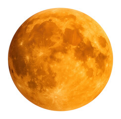 Wall Mural - bright full orange moon.