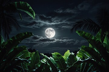 Wall Mural - night landscape with moon and tree