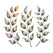 © Shammi - Elegant botanical art featuring delicate leaves and branches in subtle earthy tones transparent background