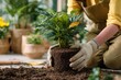 © LimeSky - Transplanting a houseplant into a pot woman caring for it