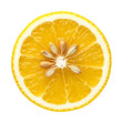 © Pixel PNG Grid - A close up of a lemon slice showing the pulp and seeds  in sharp focus view on transparent background