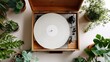 © Mimi - Minimalist Vinyl Record Player Mockup with Blank White Cover, Black Vinyl Disc, and Green Plant in Wooden Box on Light Background, Top View Flat Lay