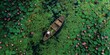 © mankjon - Aerial View of a Tranquil Lotus Pond with a Wooden Boat Navigating Through Lush Greenery