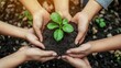 © Tharumina - Multiple Hands Protecting Green Plant Seedling Teamwork Environmental Care Community Conservation Collaboration Nature Protection Together