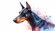 © unairakstudio - A high-energy watercolor painting of a Doberman, its powerful form rendered with artistic brushstrokes and a soft, modern pastel finish.