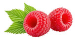 Isolated raspberry
