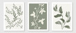© TWINS DESIGN STUDIO - Abstract botanical poster vector set. Leaves, flower with watercolor and grain texture in earth tone colors. Illustration design for Eco packaging, interior, cover, wall art, wallpaper.