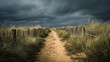 © Honey - Dramatic cloudy sky over a sandy path through coastal dunes and weathered fences
