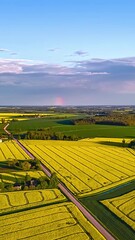 Wall Mural - Aerial hyperlapse over glowing yellow rapeseed fields in scenic countryside at golden hour