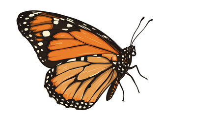 Vibrant monarch butterfly with detailed wing pattern on white background
