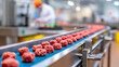 © Cam - close up on conveyor belt with raw chicken meat pieces in modern processing facility automated food production line ensures efficient poultry manufacturing and quality control for supply chain