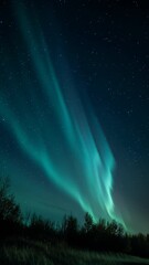 Wall Mural - Vertical video Breathtaking Aurora Borealis Over Mountains 