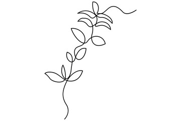 Wall Mural - continuous line vector drawing of botanical leaves one line contour illustration