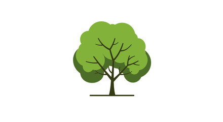 Illustration of a single tree with a green canopy and a brown trunk isolated