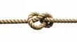 © abu - Close-up of a classic sailor’s knot highlighting rope texture and precise form.