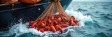 Abundant Lobster Harvest Fishing Vessel Returns with a Bountiful Catch of Fresh Crustaceans
