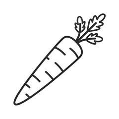 Simple black and white carrot drawing with outline style – stock vector icon in line style