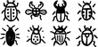 © Artem - Hand-drawn doodle set of beetles including ladybug and stag beetle for nature design