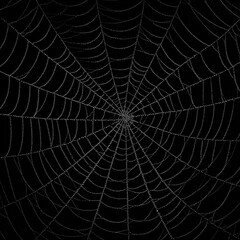 Intricate spider web glistening with dew drops against a dark background, showcasing delicate patterns and textures, representing nature's artistry and craftsmanship