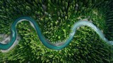 winding river through green forest