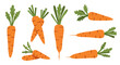 © Dieke - A collection of vibrant orange carrots with green leafy tops, presented in various positions and styles, perfect for healthy eating and cooking themes.