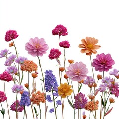 Wall Mural - A vibrant display of colorful flowers in various shapes and sizes, showcasing the beauty of nature. Perfect for floral arrangements, gardening themes, or nature-inspired designs.