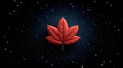 Wall Mural - Detailed red maple leaf centered on a dark textured background with scattered white dots